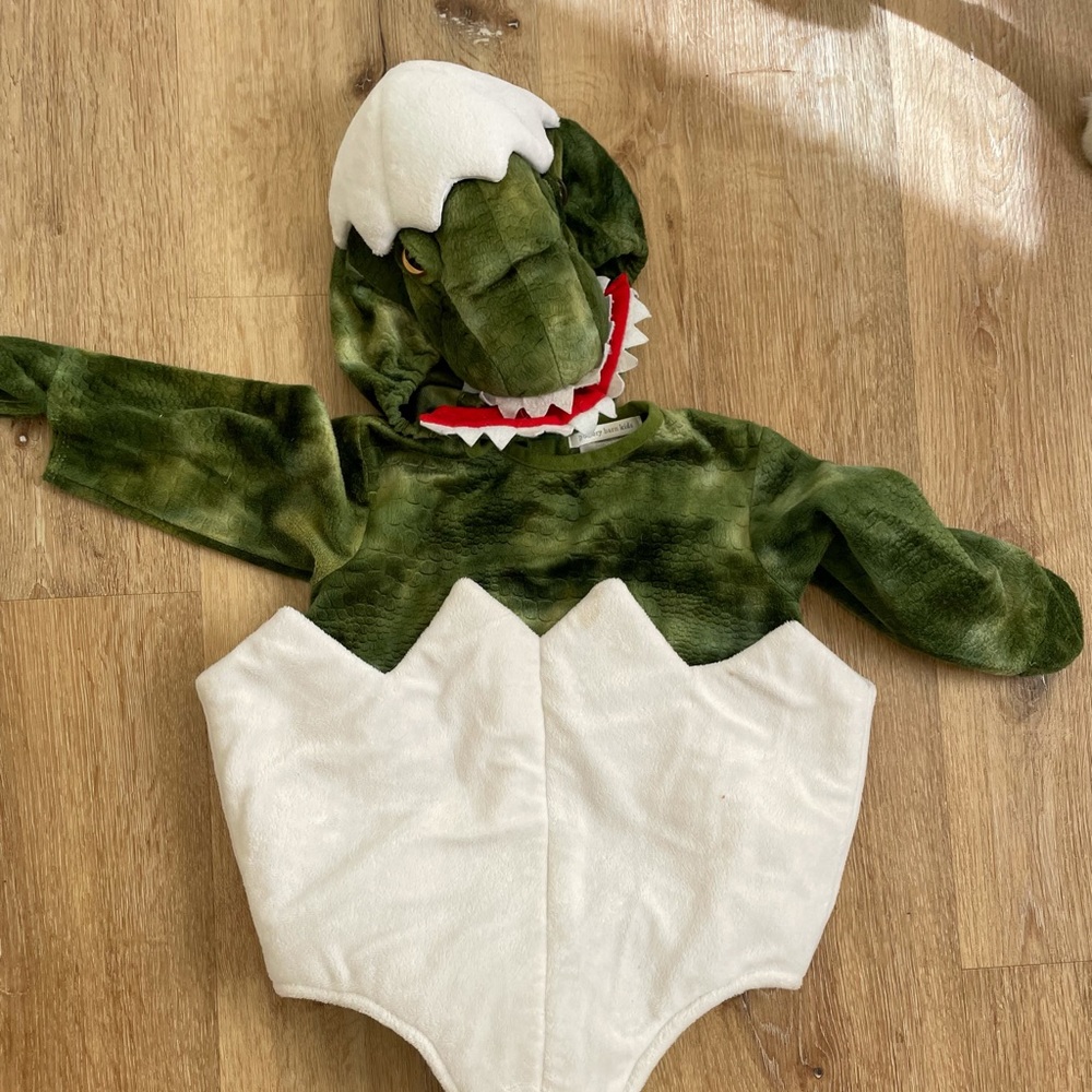 Pottery Barn Kids dinosaur egg Halloween costume